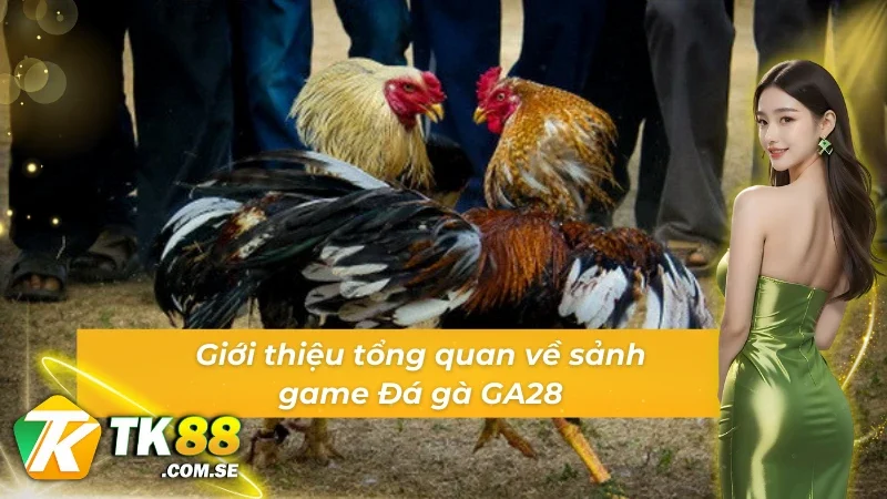 Giới thiệu tổng quan về sảnh game Đá gà GA28