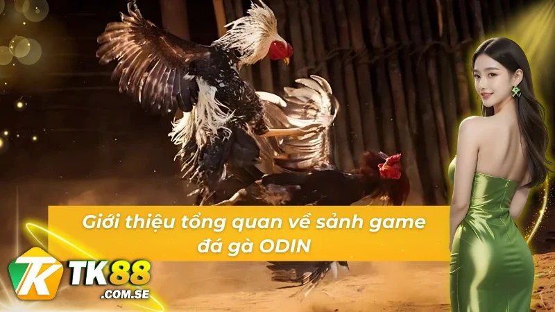 Giới thiệu tổng quan về sảnh game Đá gà ODIN
