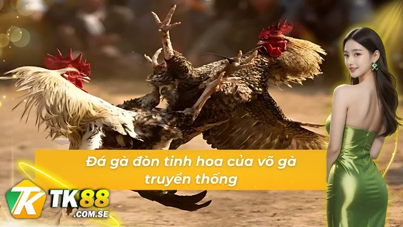 Đá gà ODIN đòn tinh hoa của võ gà truyền thống