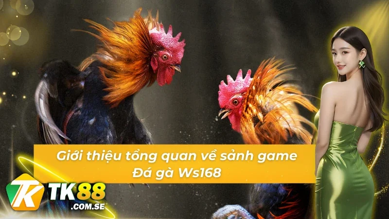 Giới thiệu tổng quan về sảnh game Đá gà Ws168