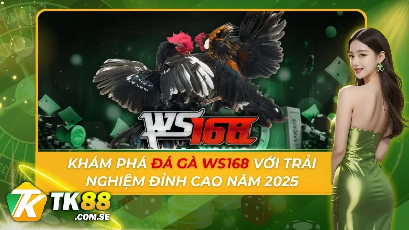 Đá Gà Ws168